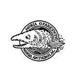 original nokia logo