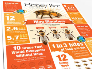 infographic about honey bees